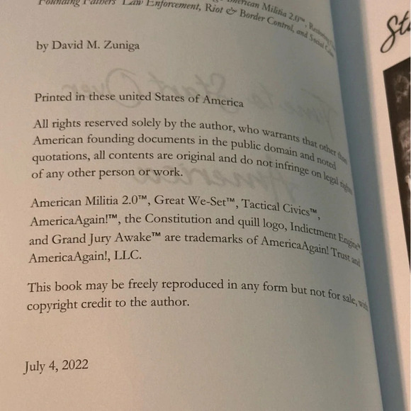 Time to Start Over, America: Introducing American Militia 2.0™ - Picture 3 of 3